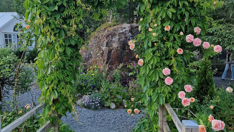 Open garden & cafe