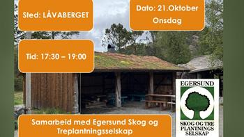 Outdoor evening in Eigersund