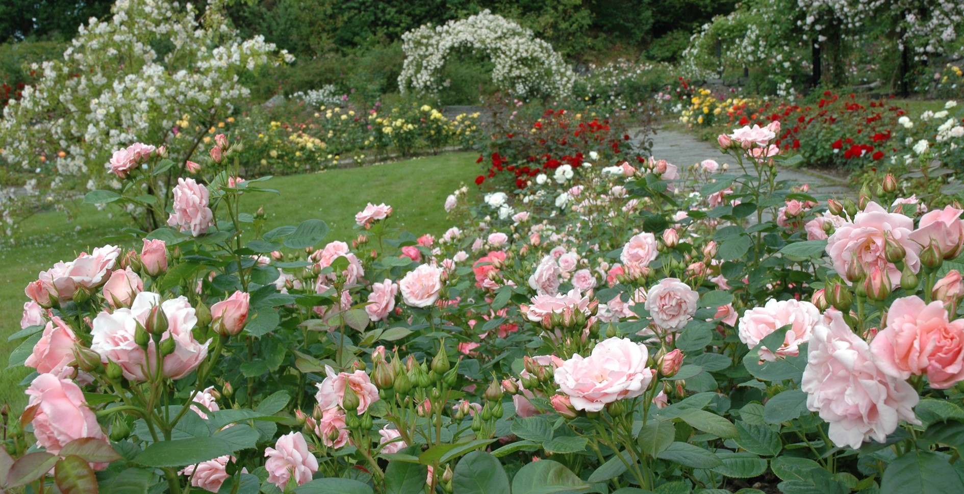 The arboretum and Bergen botanical garden - Fjord Norway