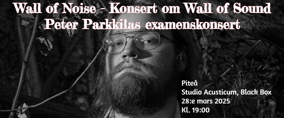 Bild till evenamnget Wall of Noise