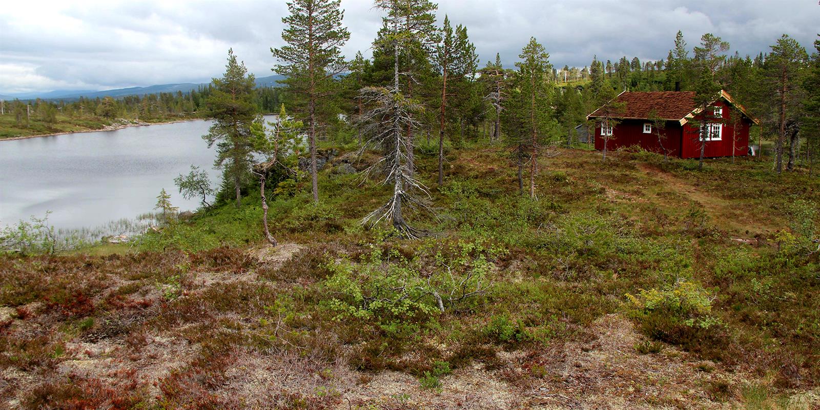 Andorsjøhytta (cabin)