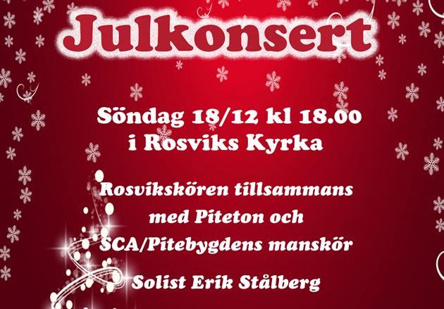 Affisch Julkonsert