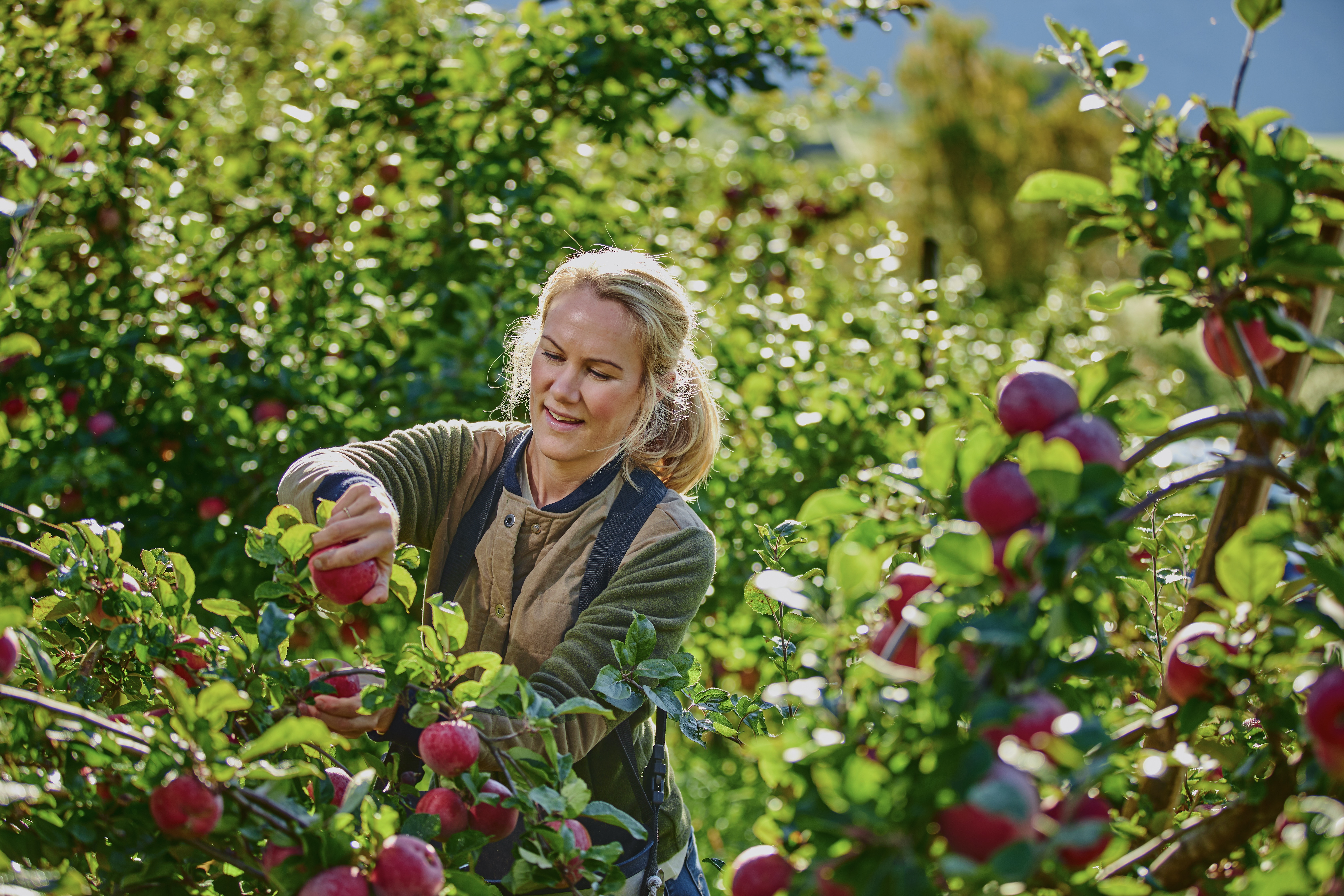Hardanger Juice and Cider Factory
