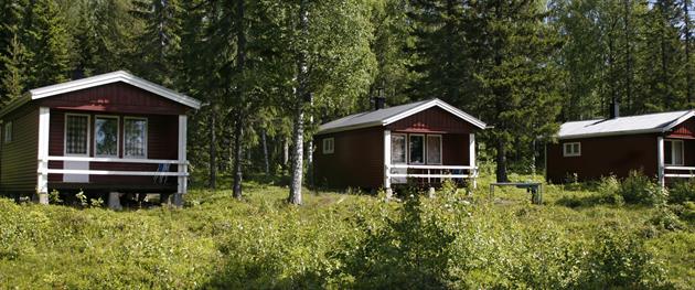 Three cabinis, Sofia Wellborg