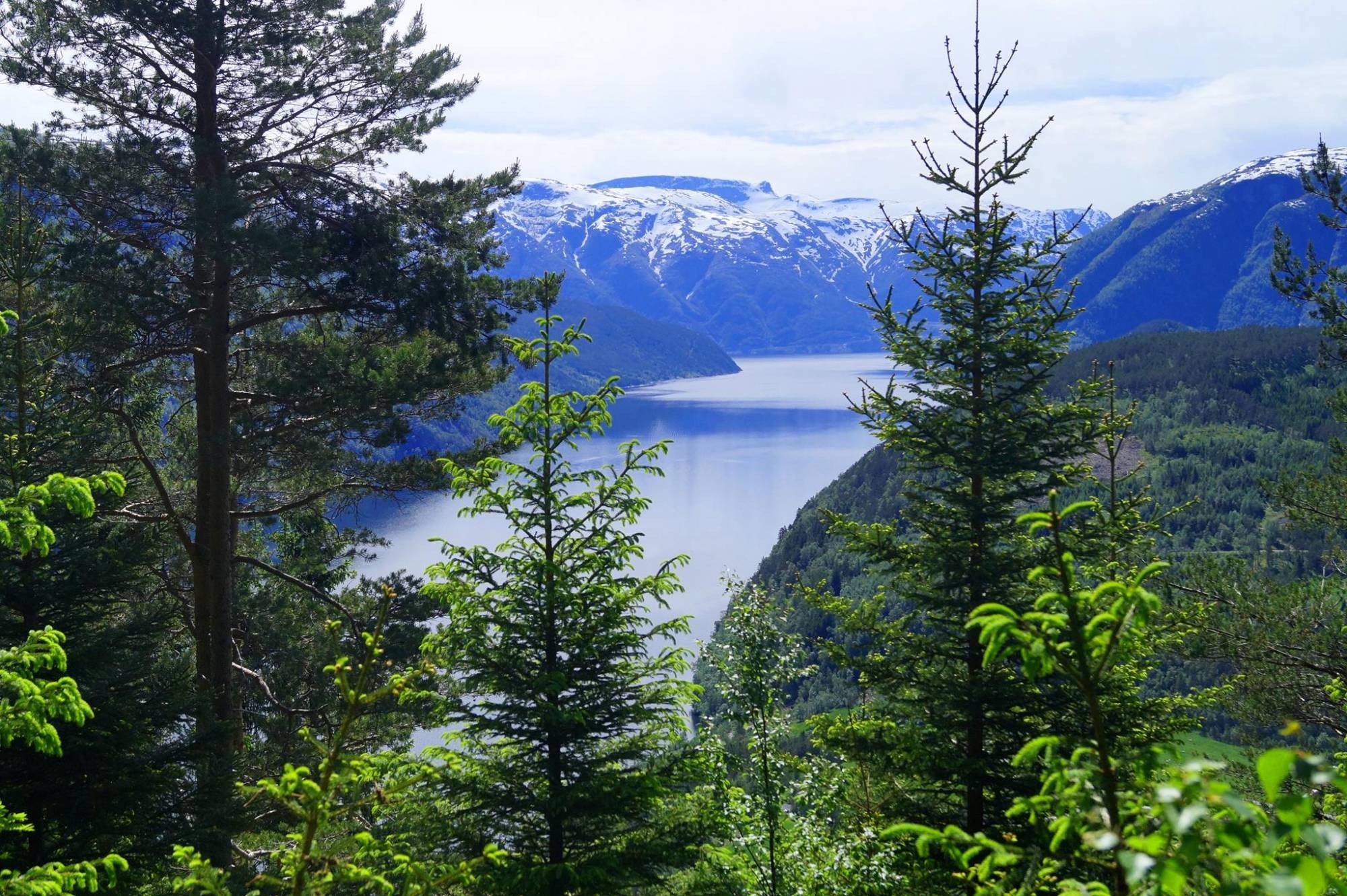 Guided nature walk in Ulvik - B-Active