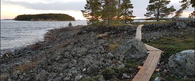 Den spångade vandringsleden som leder ut till utsiktsplatsen på Klubben, Piteå kommun