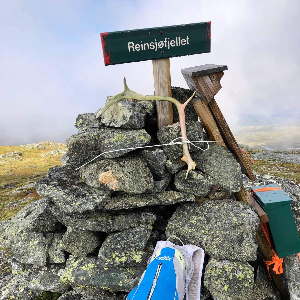 Hike: Reinsjøfjellet 726 masl. Hike: Reinsjøfjellet 726 masl.