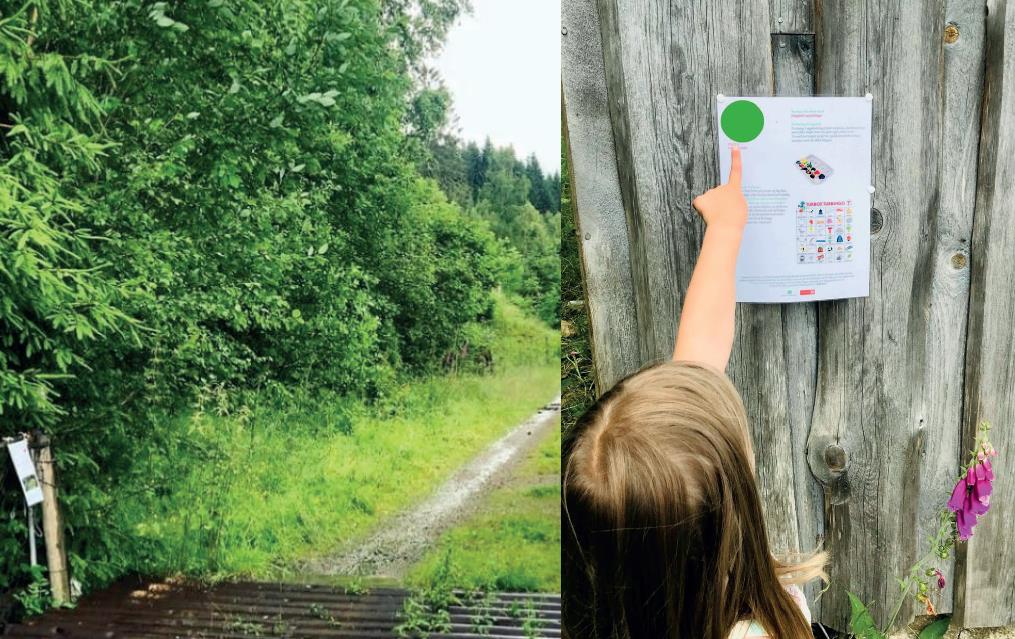 Bornas natursti - Haugesenteret/Ulvik Turlag