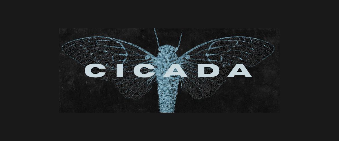 Cicada Band