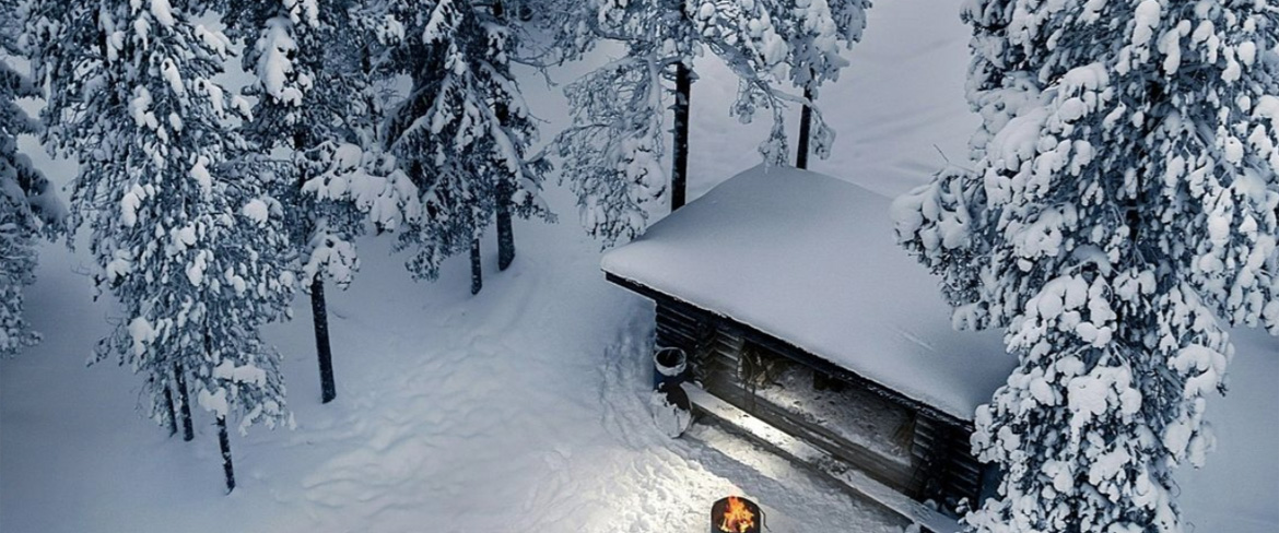 Bild till evenamnget Den perfekta skogen
