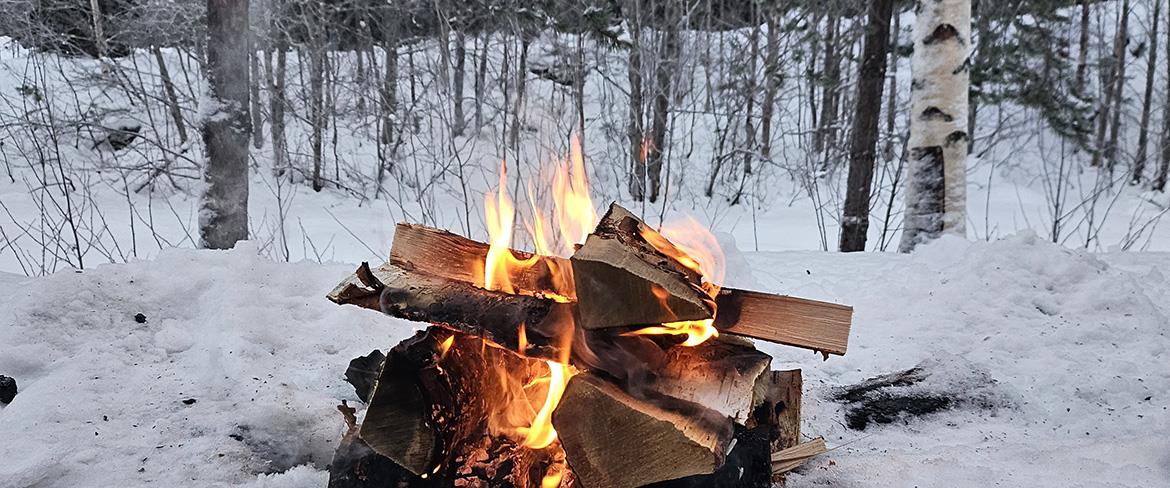 Small bonfire in the winter forest
