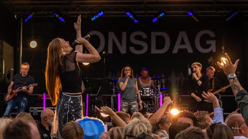 Summer party at Elverhøy with the Wednesday Band