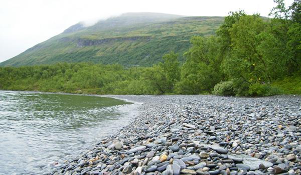 Centrum silver Centrum silver