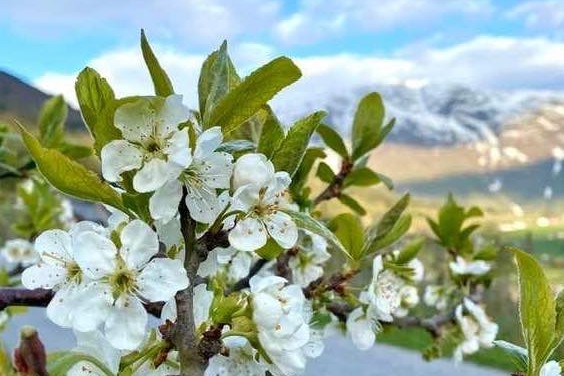 Skitour von Bergen & Winter bis Fjord & Blüte