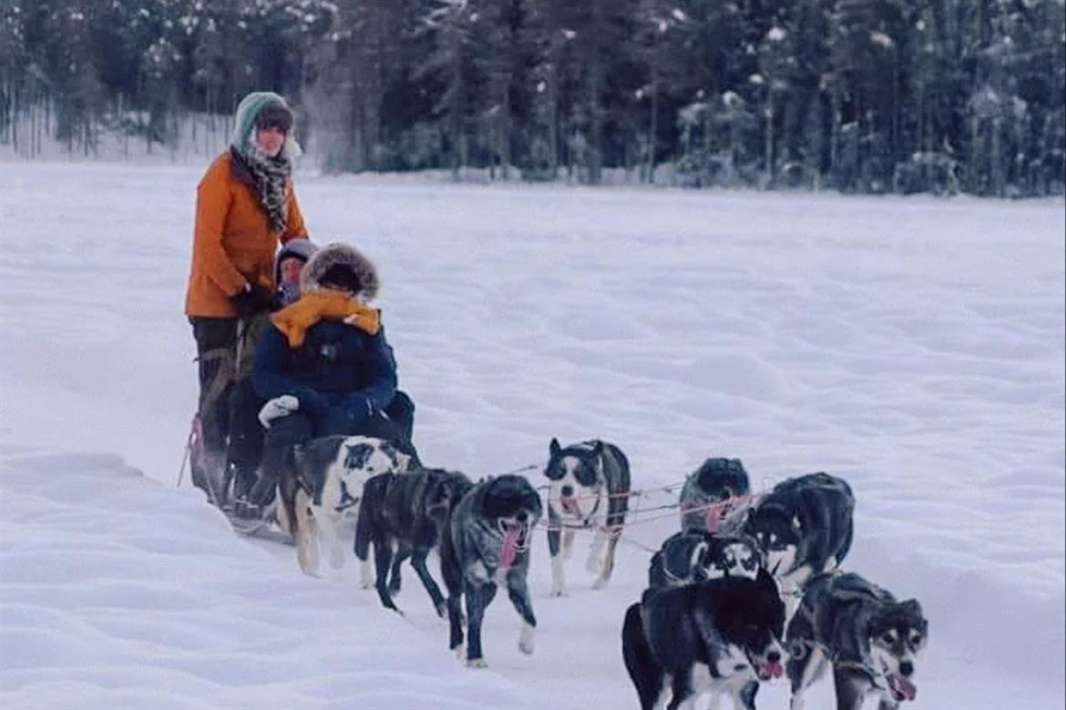 Hundspann i snön