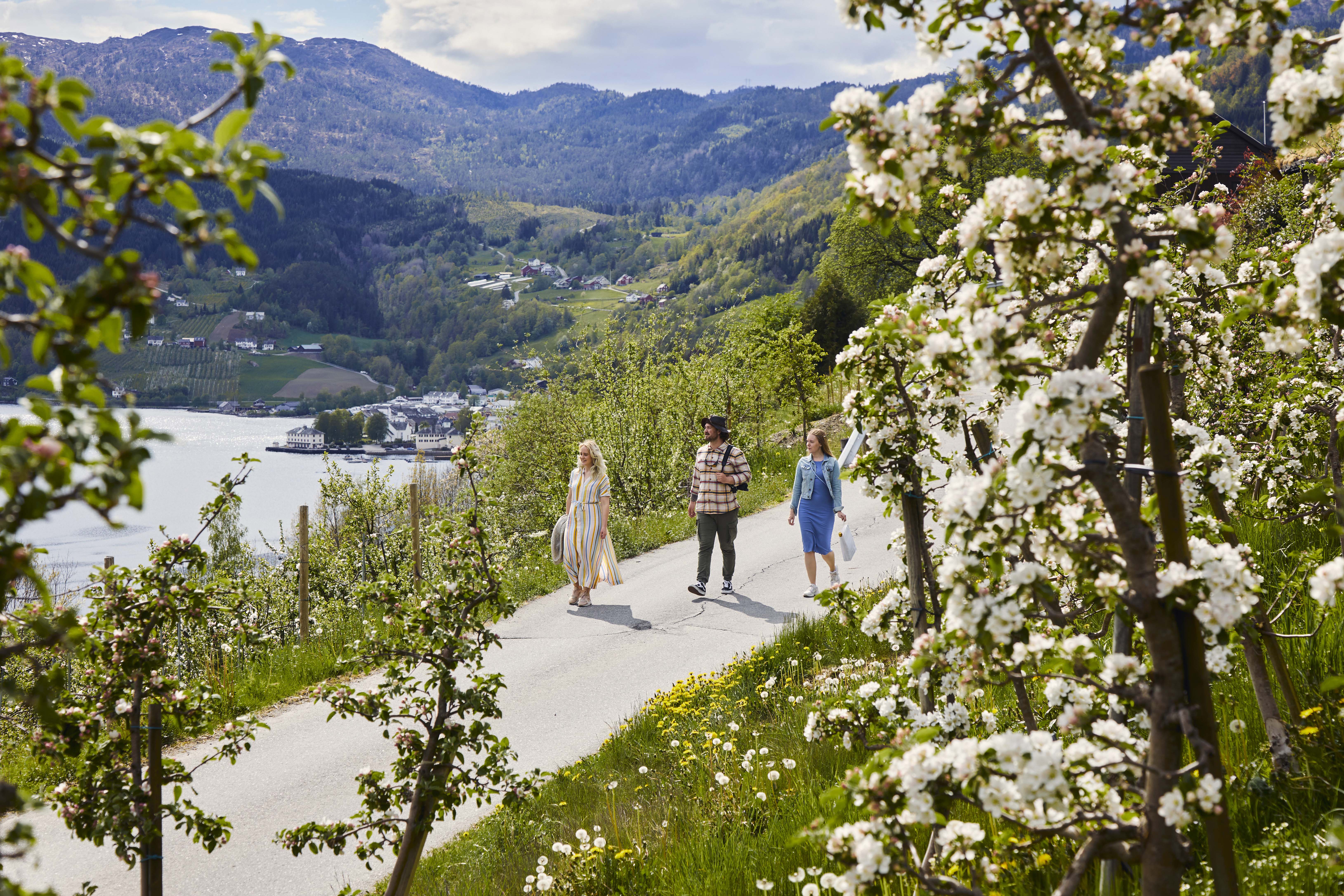Frukt- og Siderruta, Ulvik