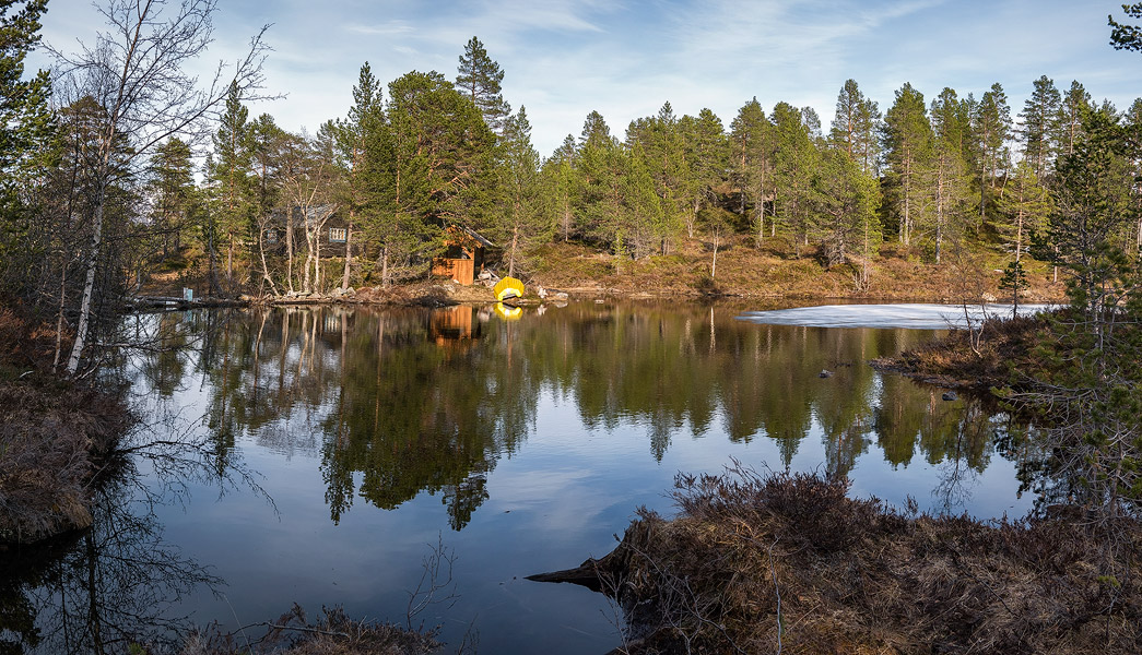 Pond Frystetjørn