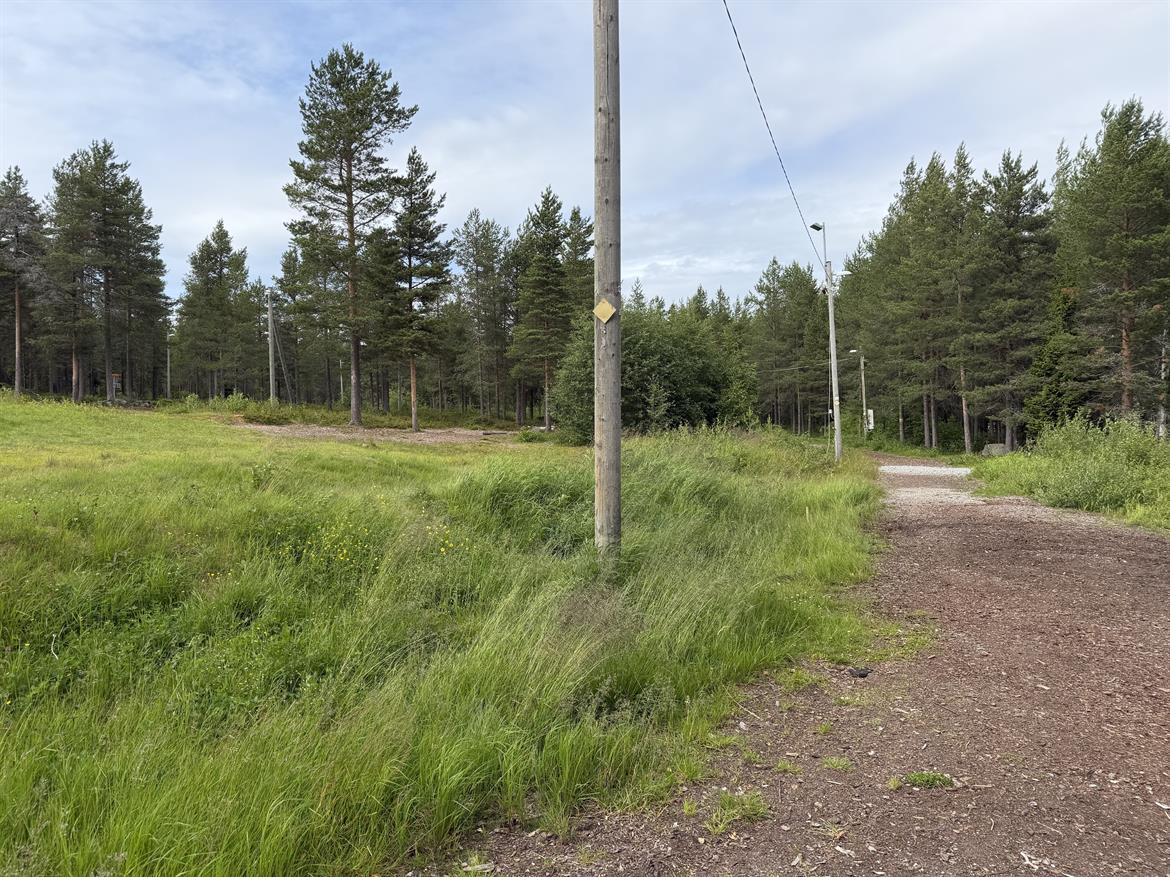 Furubergsspåret