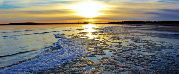 Beach at spring, Stina Eriksson