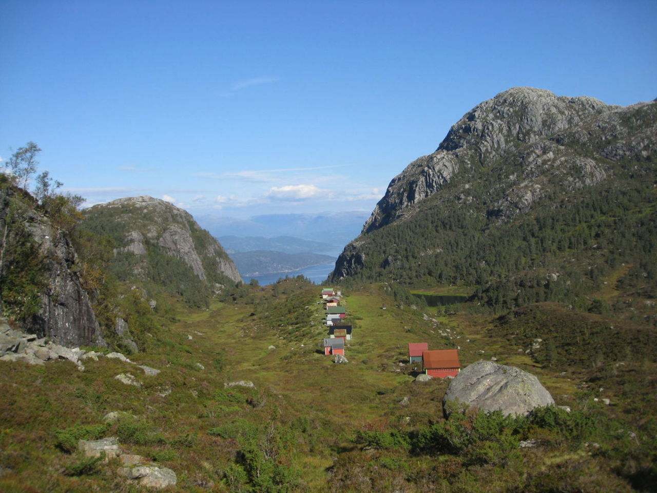Gausvik - Grønrimb