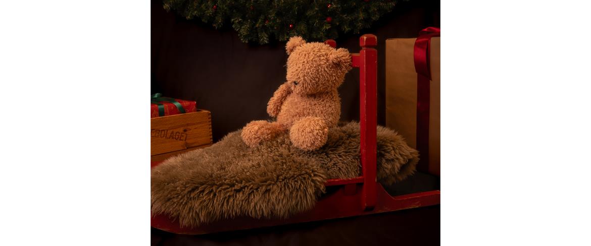 En idé om hur jultemat kommer att se ut