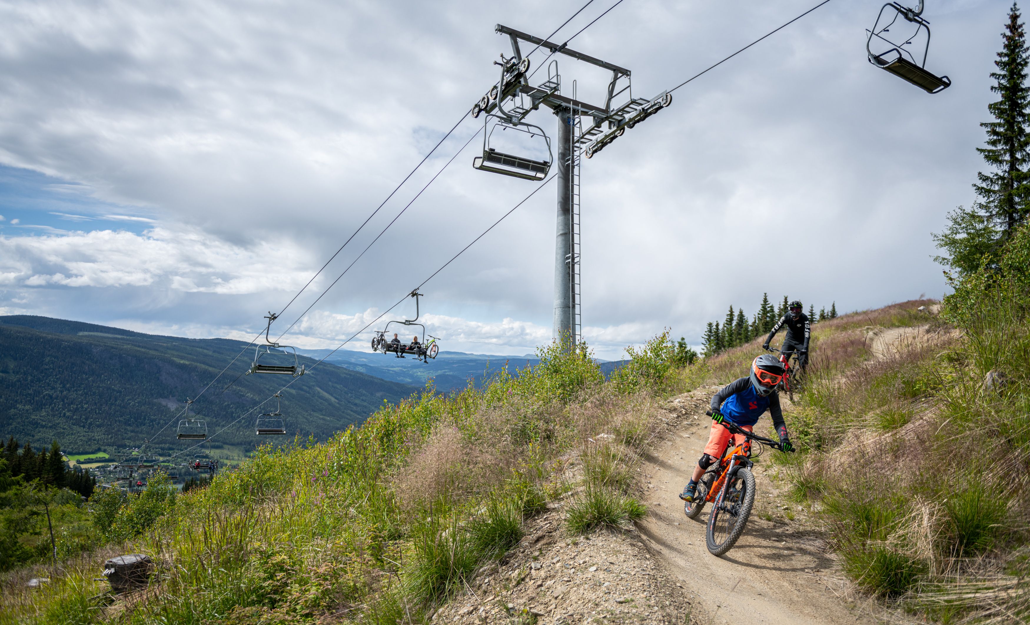 Bike park downhill sale