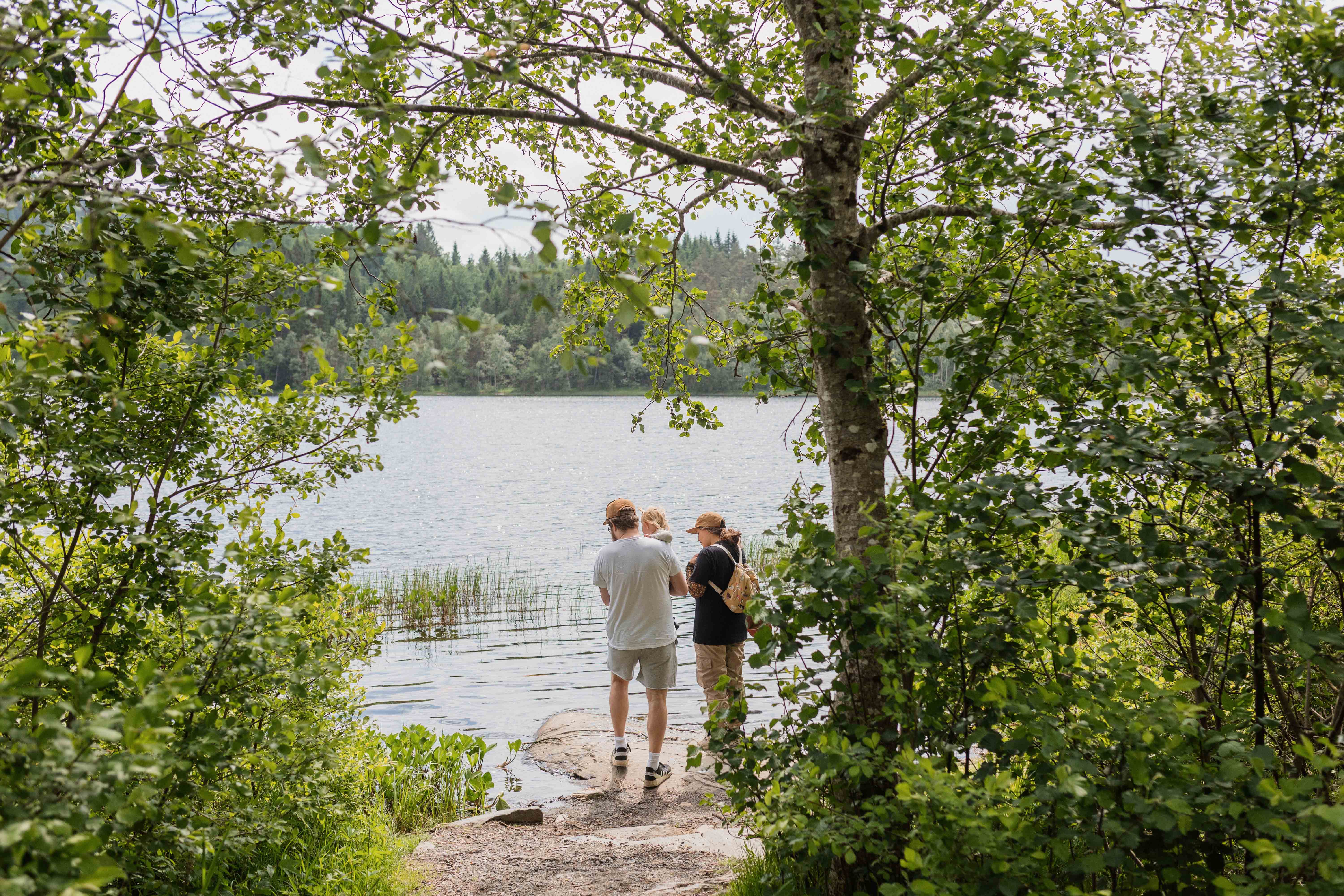 The Goldfish Lake