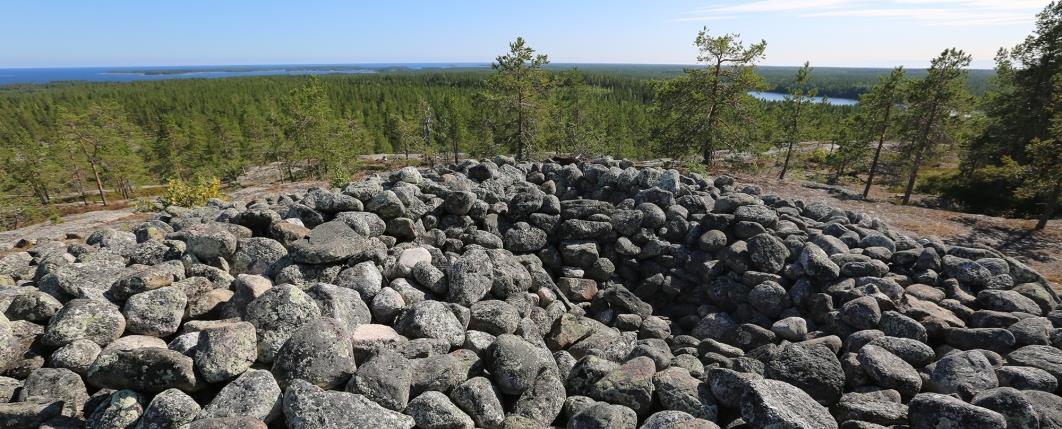 Stenröse
