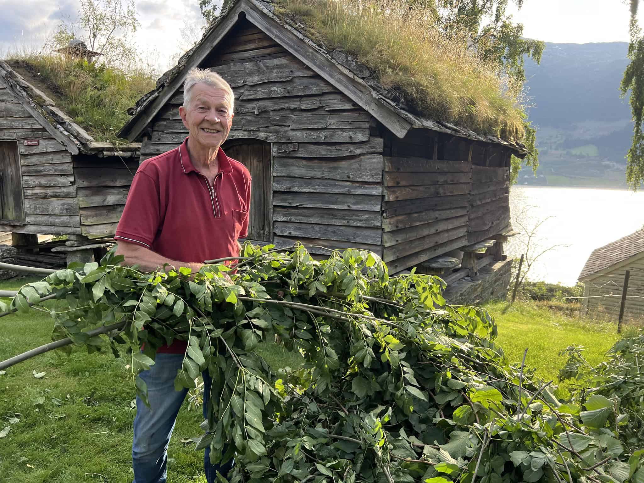 Lauving og krotakakebaking