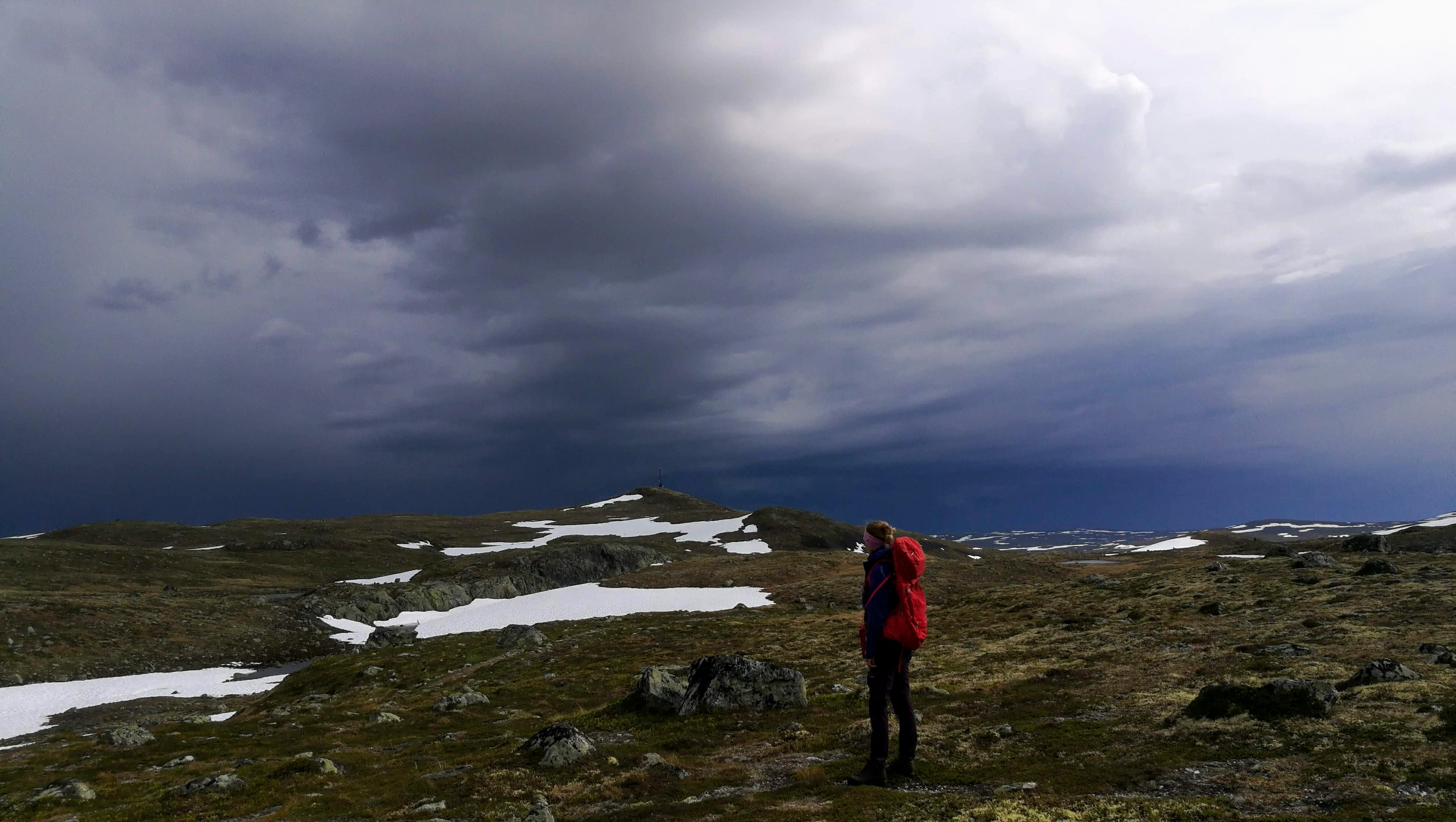 Halnekollen - guided summit hike at Hardangervidda