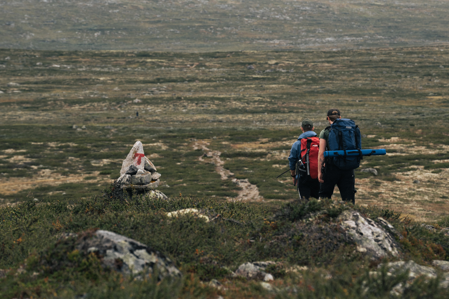 Hardangervidda National Park