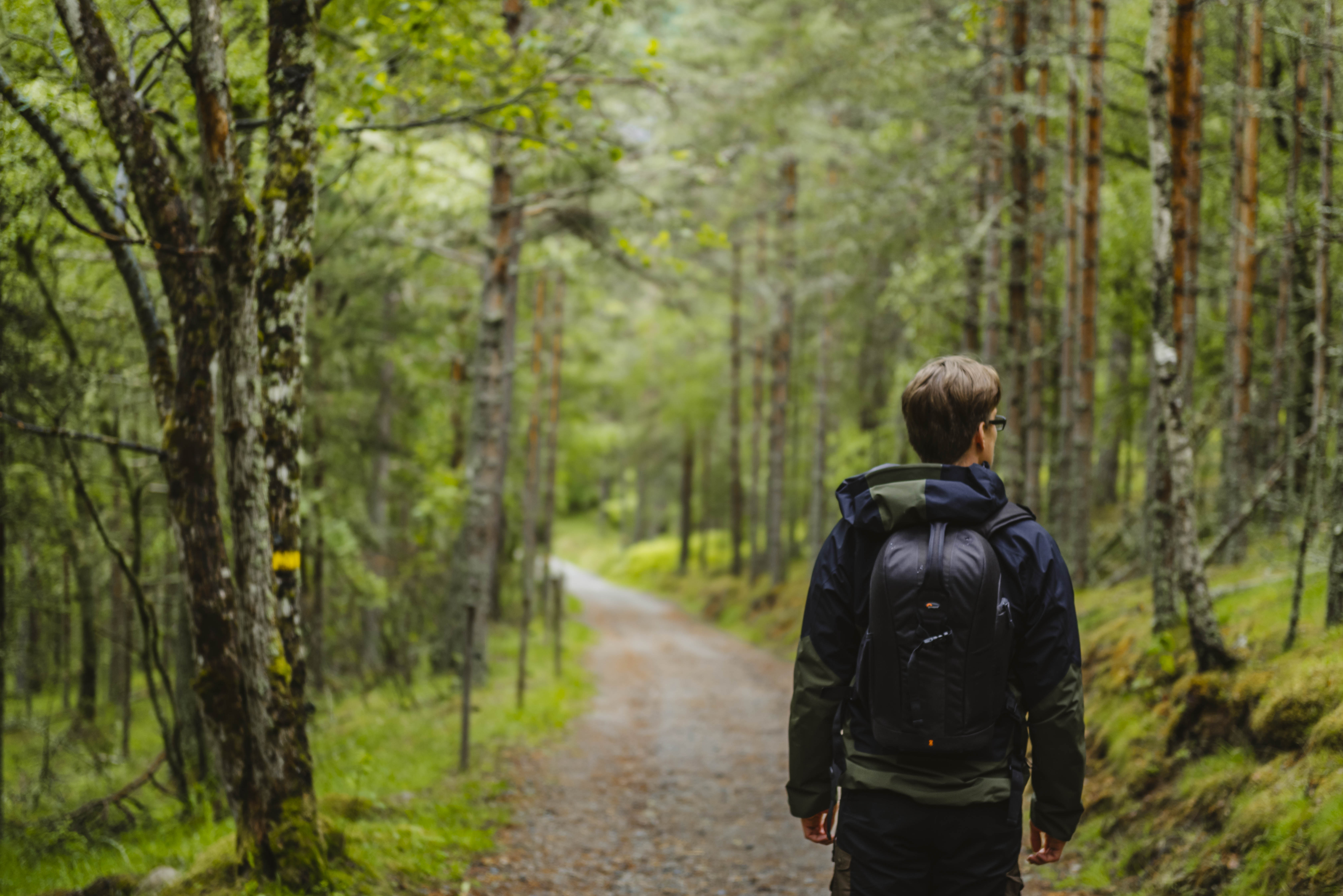 Hæreid footpath