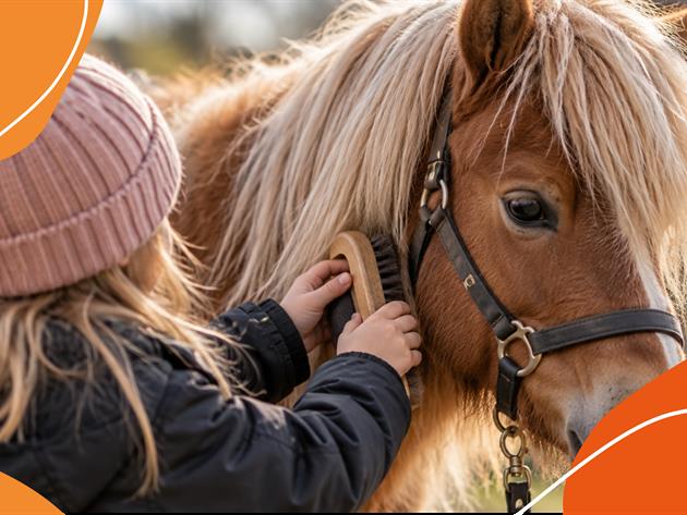 Prova på Barnridning, stallpyssel och ponnymys med Norrfjärdens 4H, PiteEnergi
