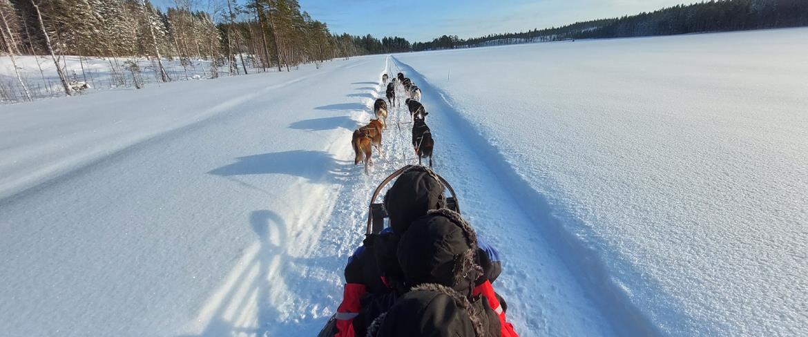 Dogsledding