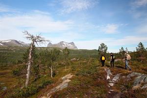 På tur fra Valnesfjord til Røsvik med utsikt til korsviktinden