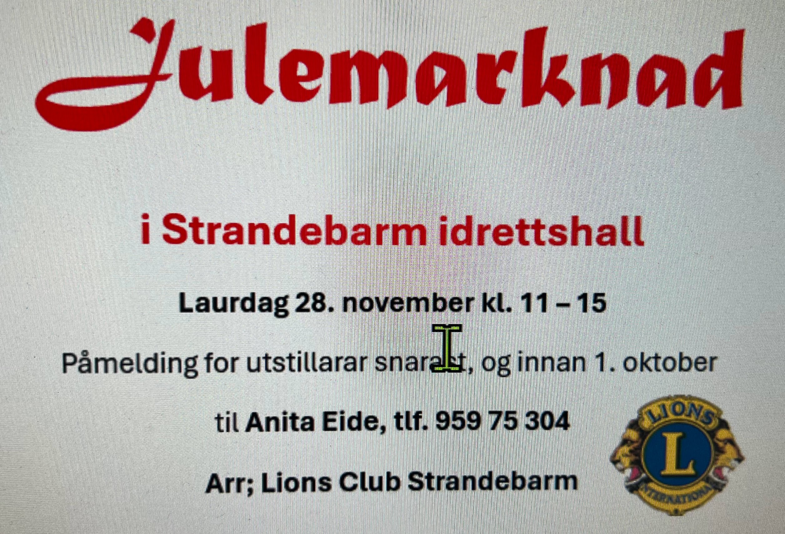 Julemarknad