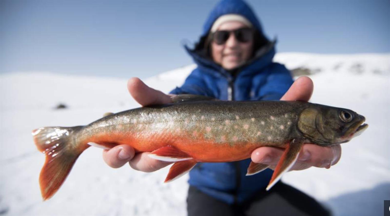 Try ice fishing with a personal guide