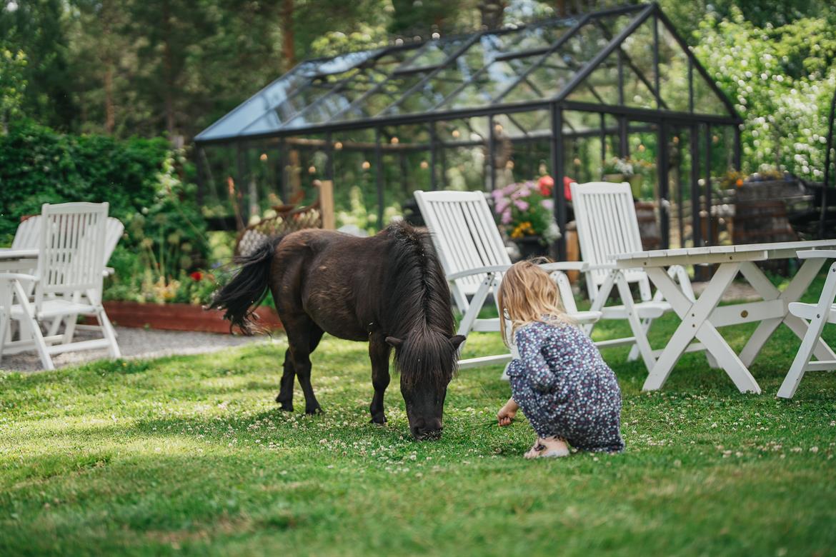Barn och ponny i trädgården hos Jössgården