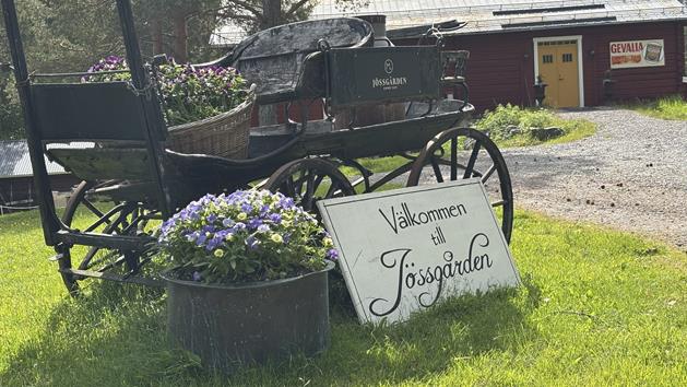 Jössgården entre, Maria Jonsson