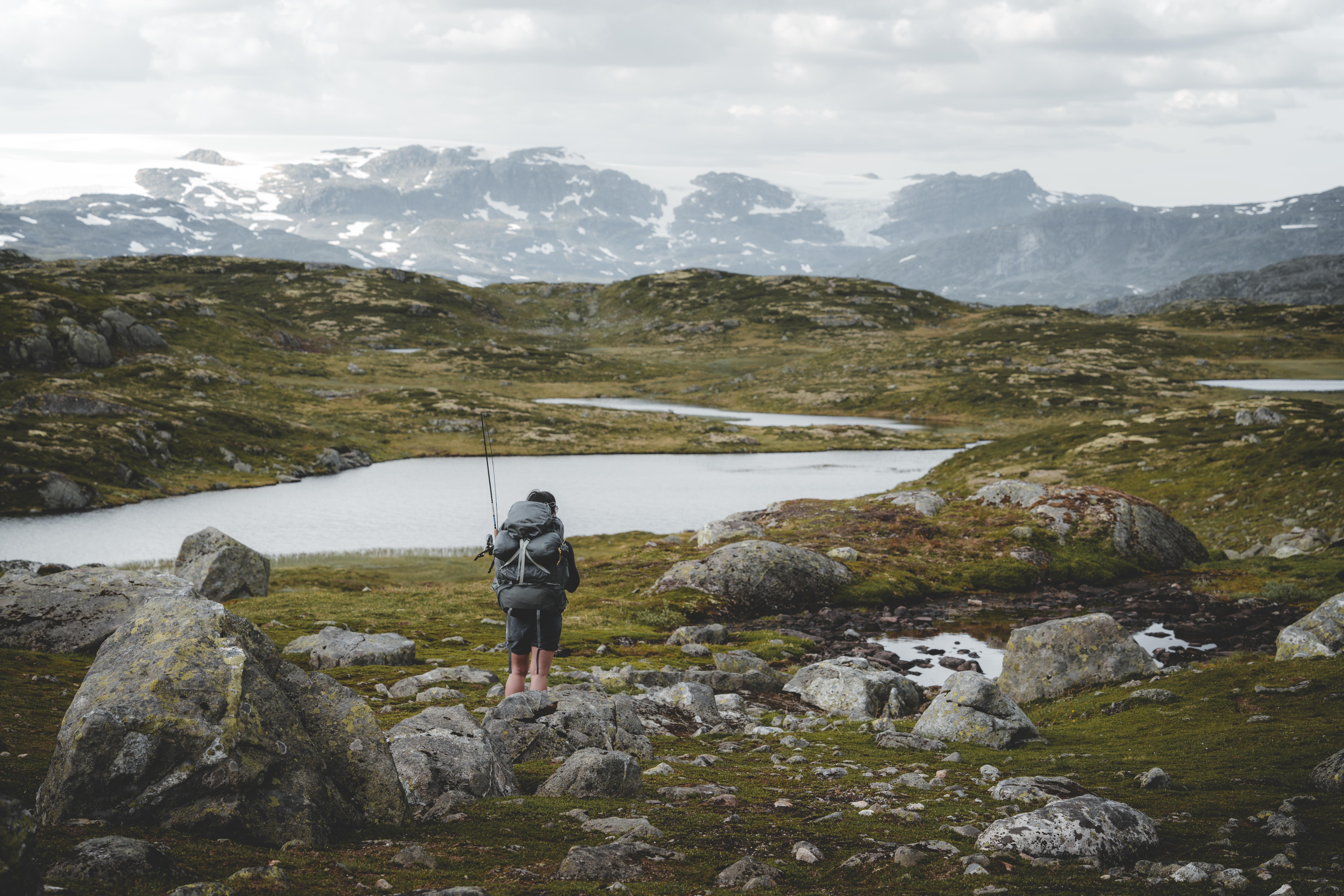 Dyranut - Kjeldebu - Fossli