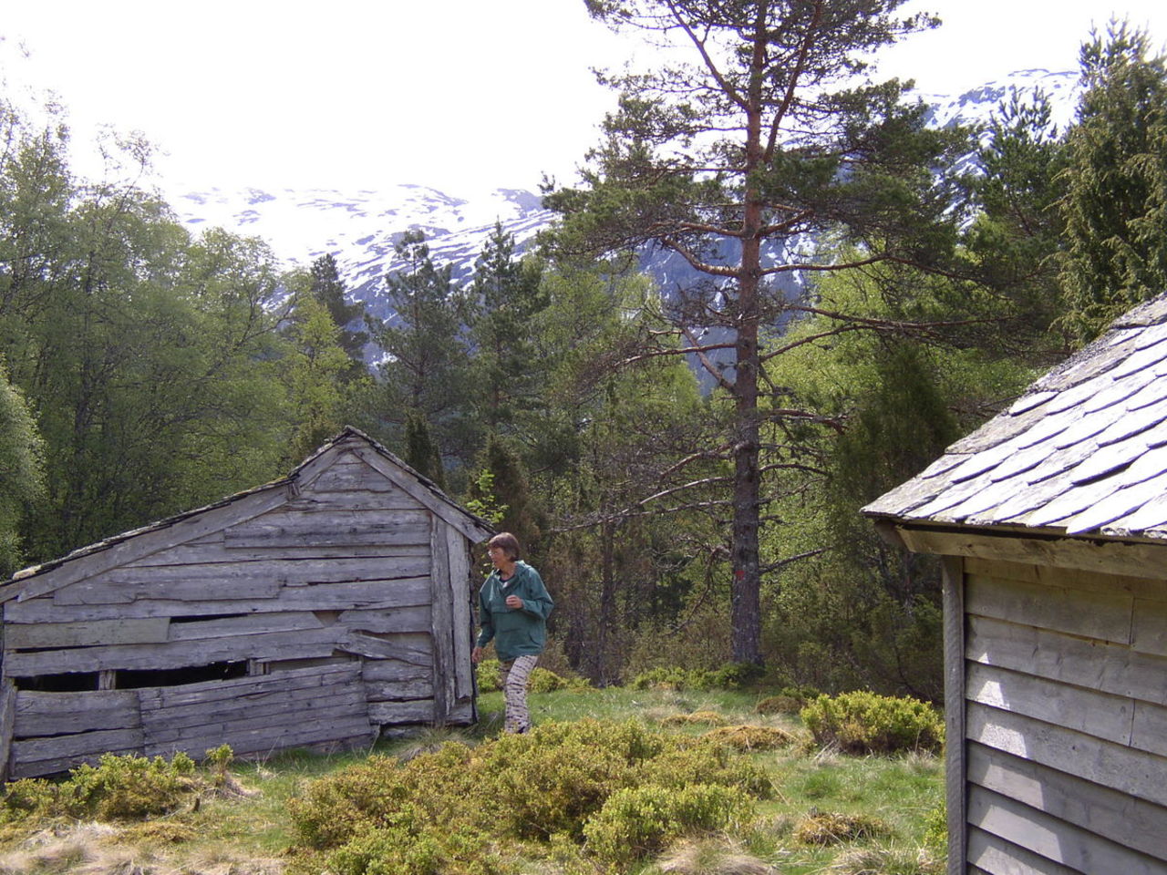 Svåsand - Vassenden