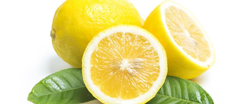 Lemon Tree - citron bild 1170x488