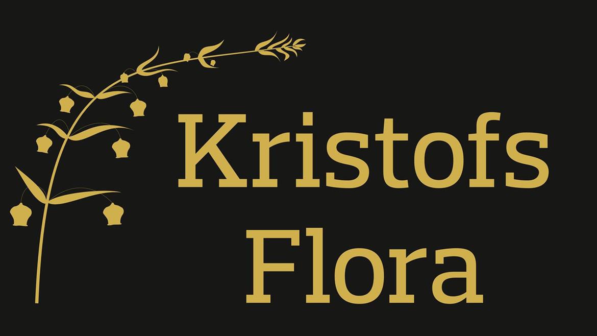 Logo 1600x1066
