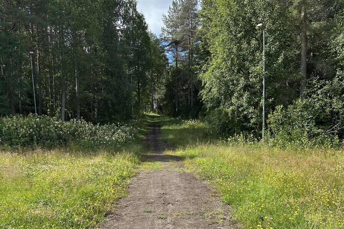 Sjulsmarks motionspår