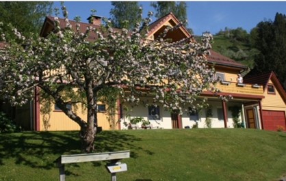 Leilighet til leige i Ulvik