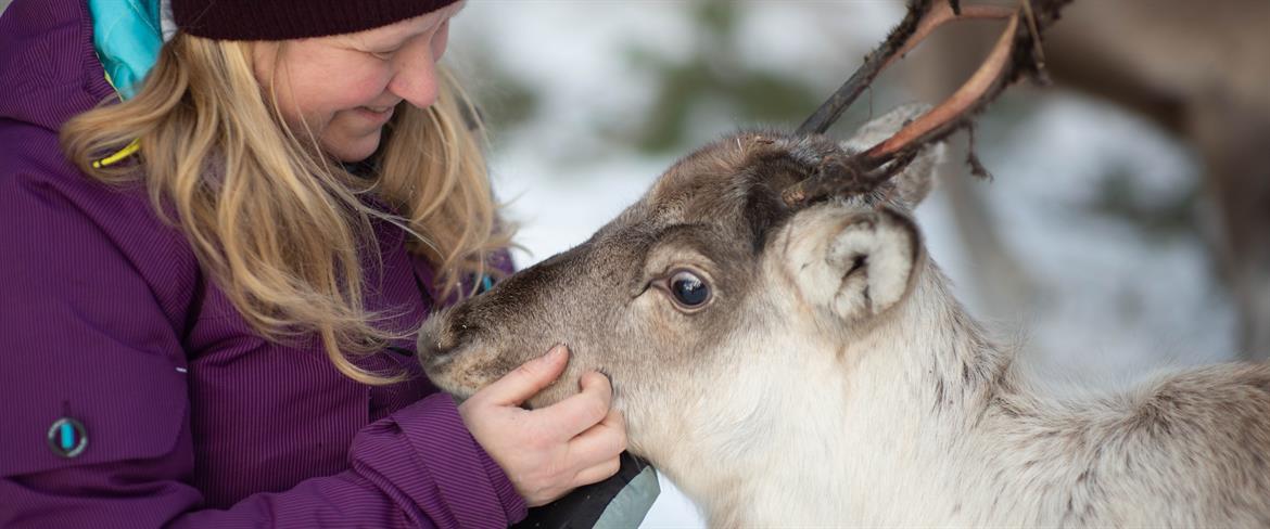 Girl cuddling a reindeer at Parfa
