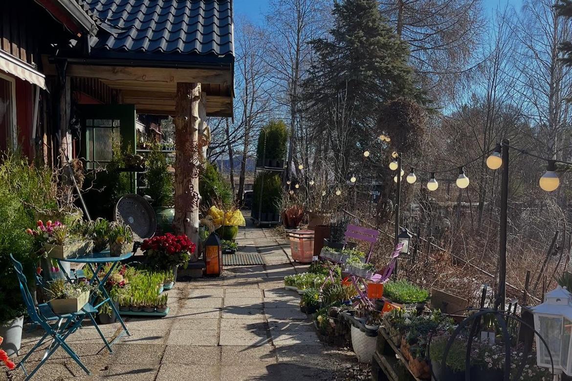 Trädgården