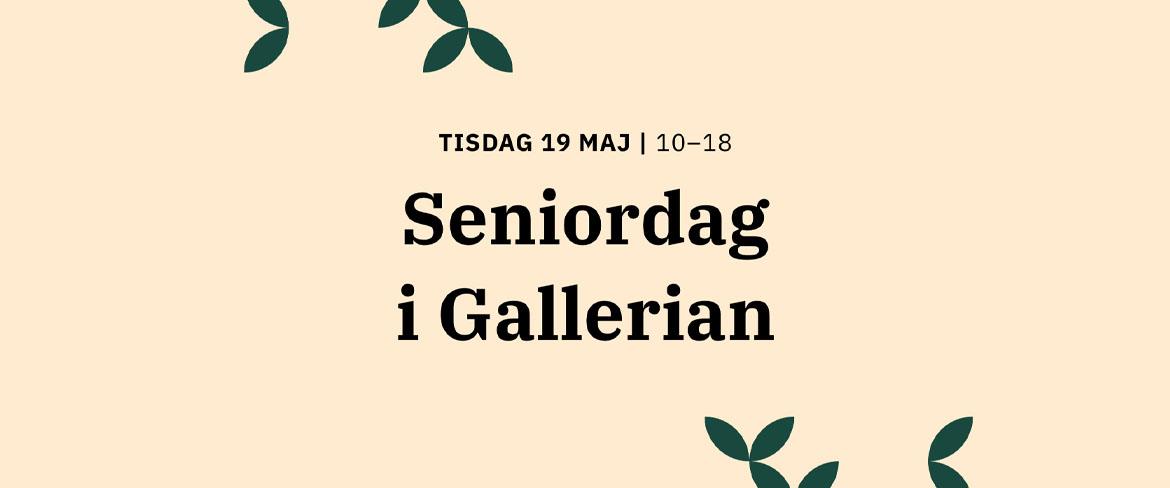 Seniordag