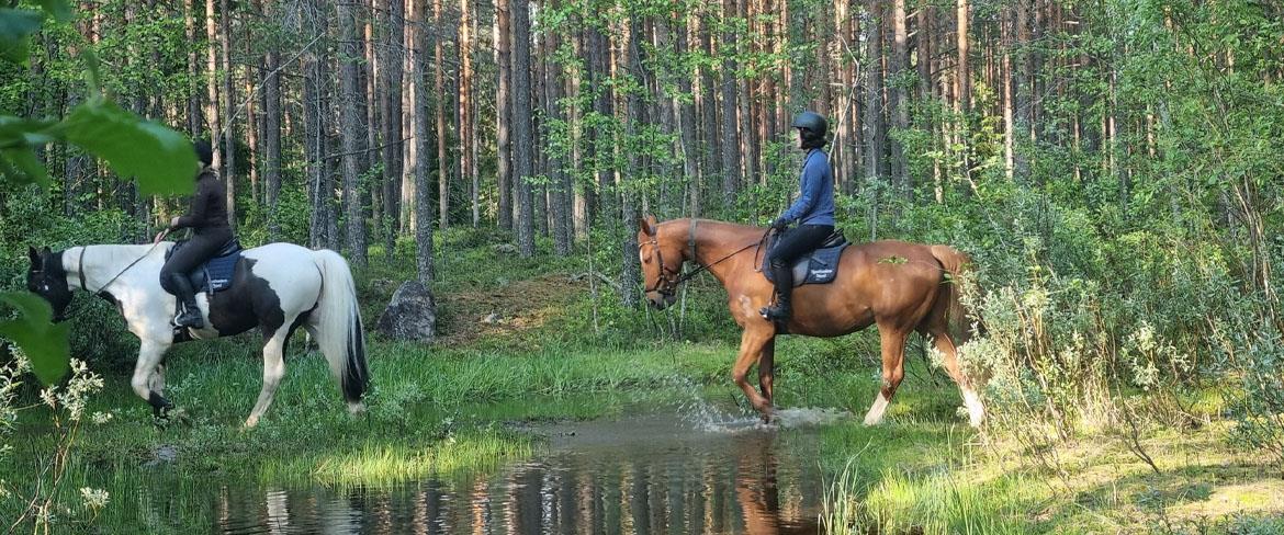 Skogsridning 1170x488
