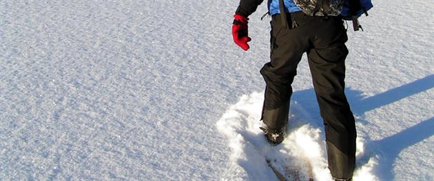 Snowshoe walk, Hansi Gelter